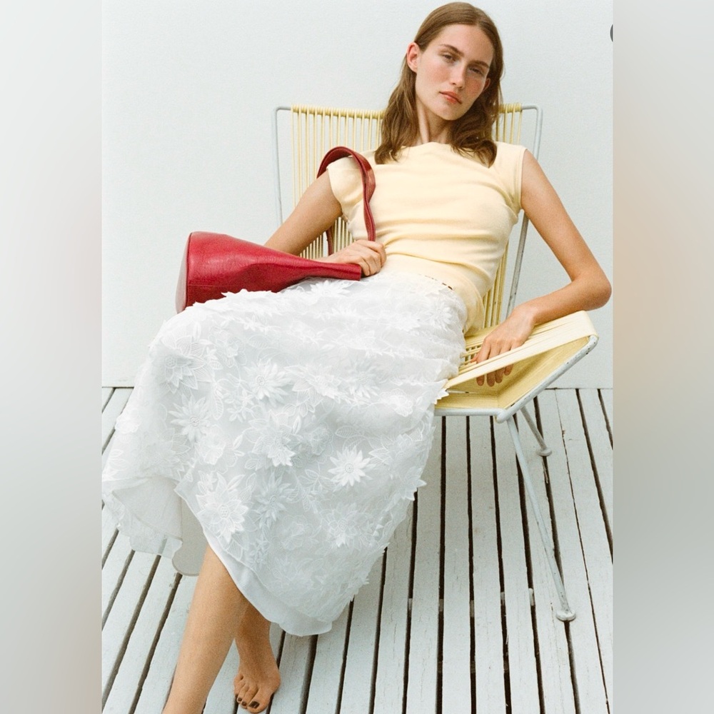 Zara Embroidered Midi Skirt ZW Collection